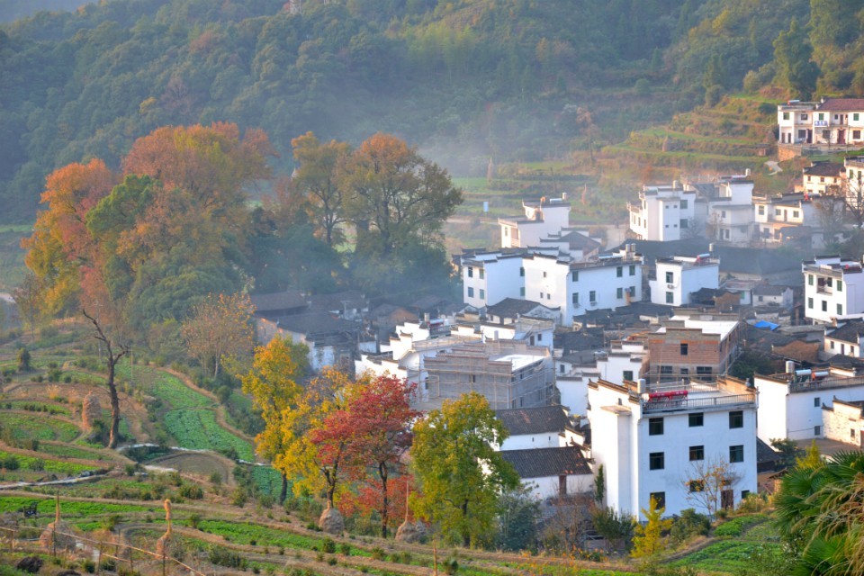 0793-7396678  婺源旅游集散中心位置  婺源天气  江岭秋色
